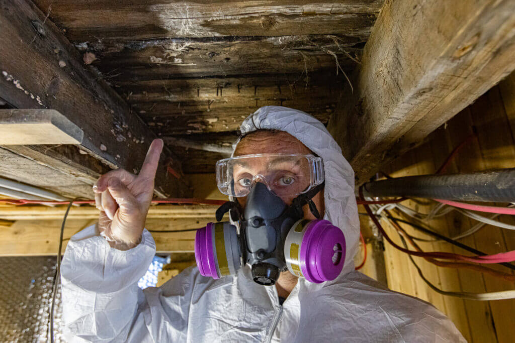 restoration, mold remediation near me, fire damage restoration.