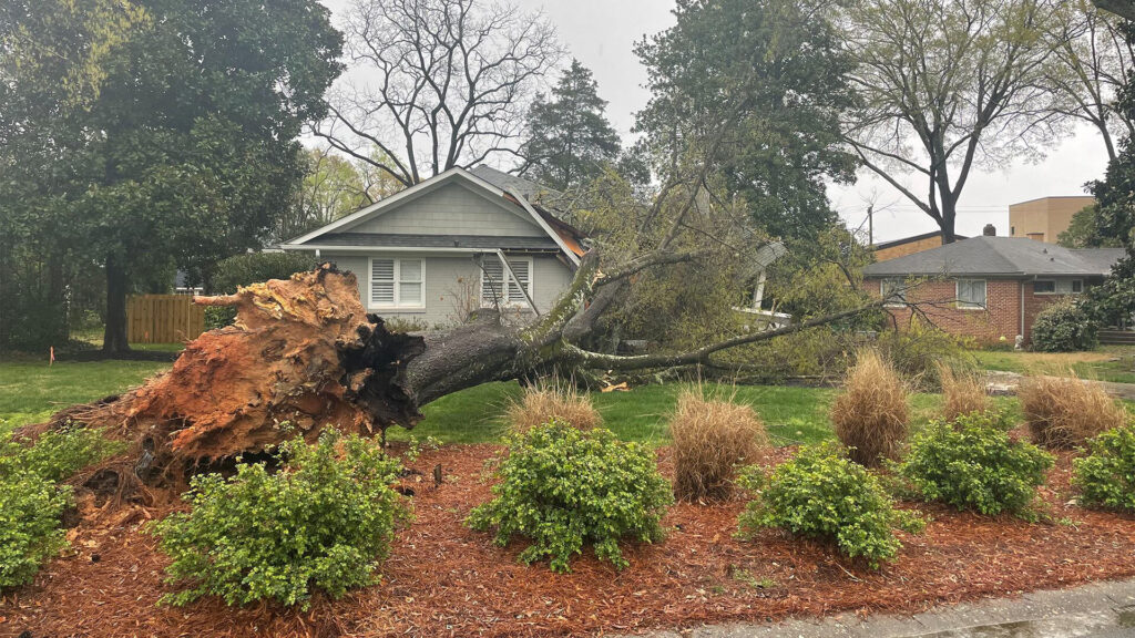 Storm image1